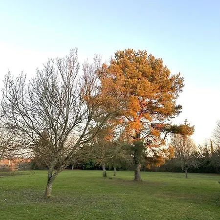 L' Anhopiel Saulces-Monclin